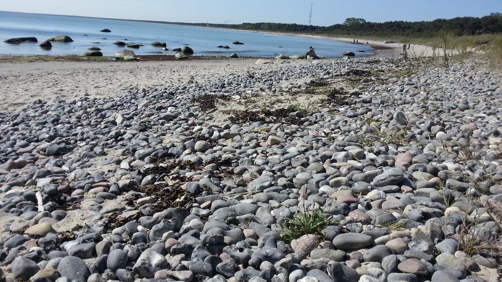 Ferienwohnungen Ruegen Findling Breege Exteriör bild
