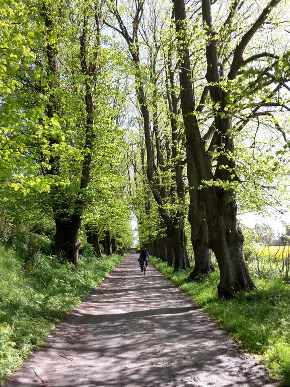 Ferienwohnungen Ruegen Findling Breege Exteriör bild
